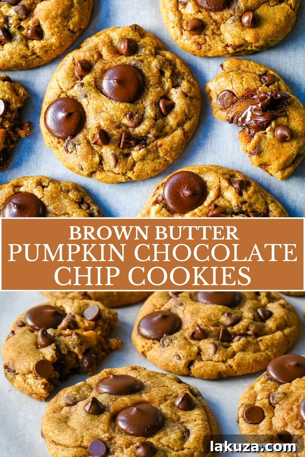 Harvest Spice Chocolate Chip Delights 9 These Brown Butter Pumpkin Chocolate Chip Cookies are made with browned butter, brown sugar, pure pumpkin puree, pumpkin spice, and semisweet chocolate chips. These are the perfect chewy pumpkin chocolate chip cookie recipe!