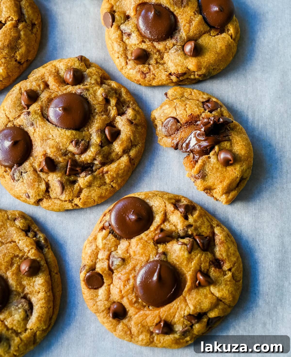 Harvest Spice Chocolate Chip Delights 3 These Brown Butter Pumpkin Chocolate Chip Cookies are made with browned butter, brown sugar, pure pumpkin puree, pumpkin spice, and semisweet chocolate chips. These are the perfect chewy pumpkin chocolate chip cookie recipe!