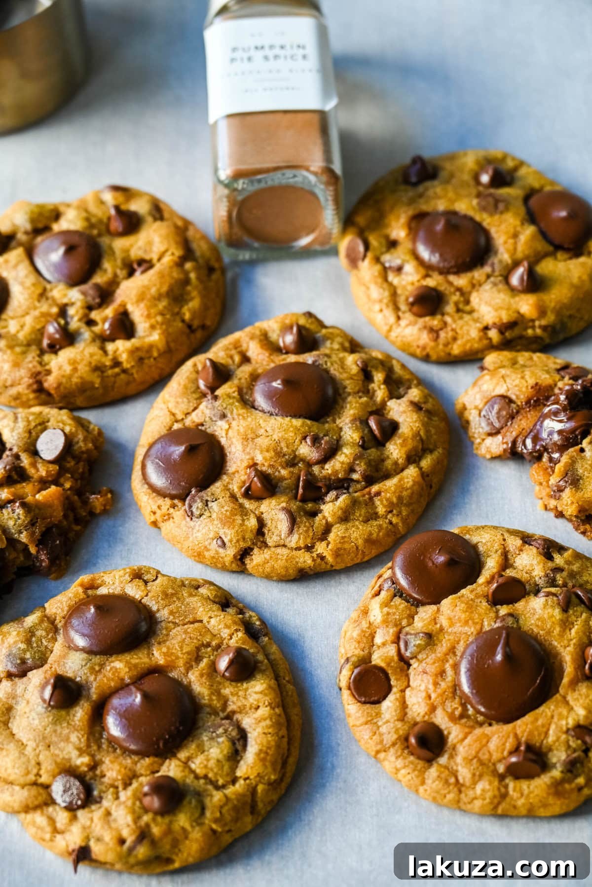 Harvest Spice Chocolate Chip Delights 4 These Brown Butter Pumpkin Chocolate Chip Cookies are made with browned butter, brown sugar, pure pumpkin puree, pumpkin spice, and semisweet chocolate chips. These are the perfect chewy pumpkin chocolate chip cookie recipe!