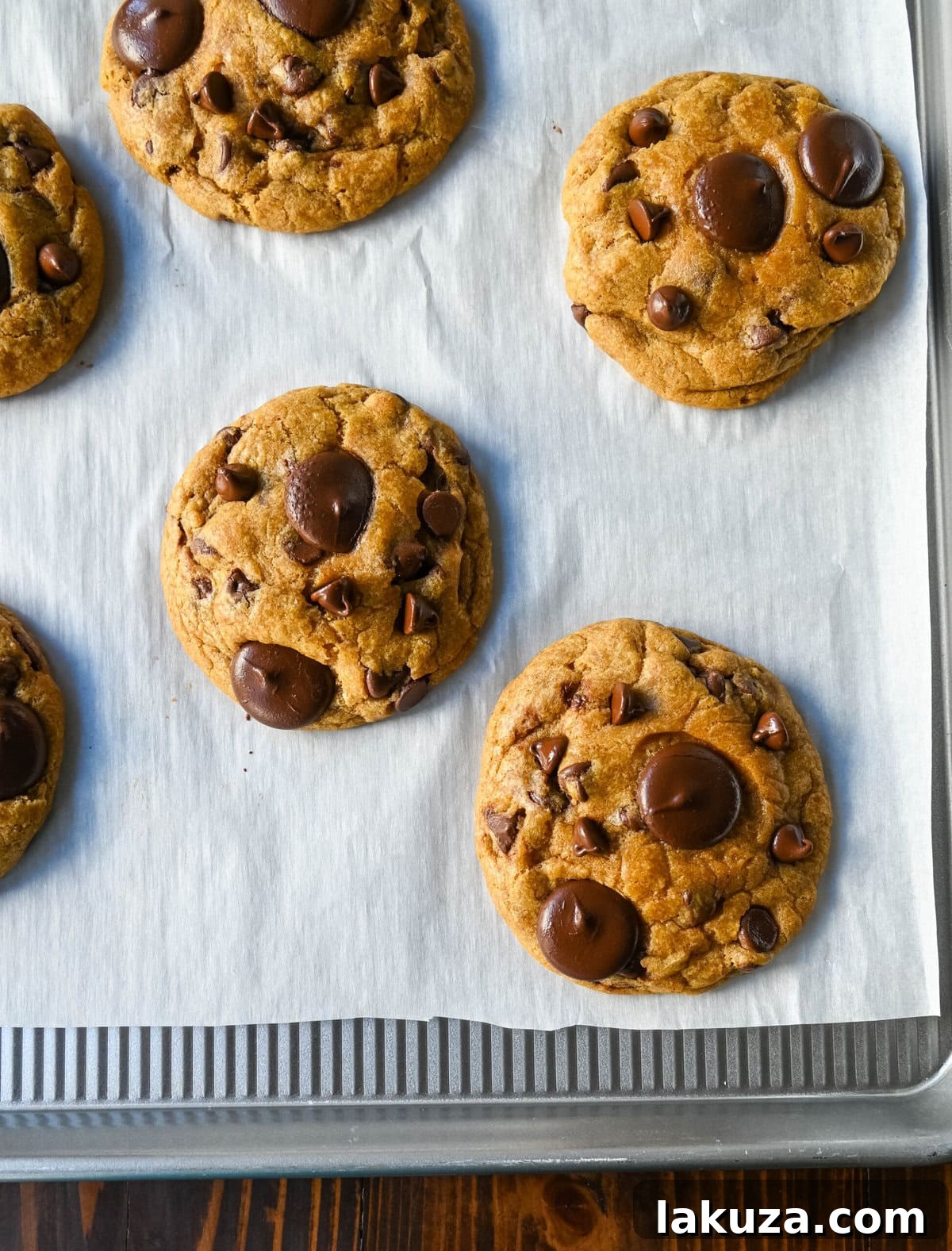 Harvest Spice Chocolate Chip Delights 7 Place chocolate chips on cookies as soon as they come out of the oven. These Brown Butter Pumpkin Chocolate Chip Cookies are made with browned butter, brown sugar, pure pumpkin puree, pumpkin spice, and semisweet chocolate chips. These are the perfect chewy pumpkin chocolate chip cookie recipe!