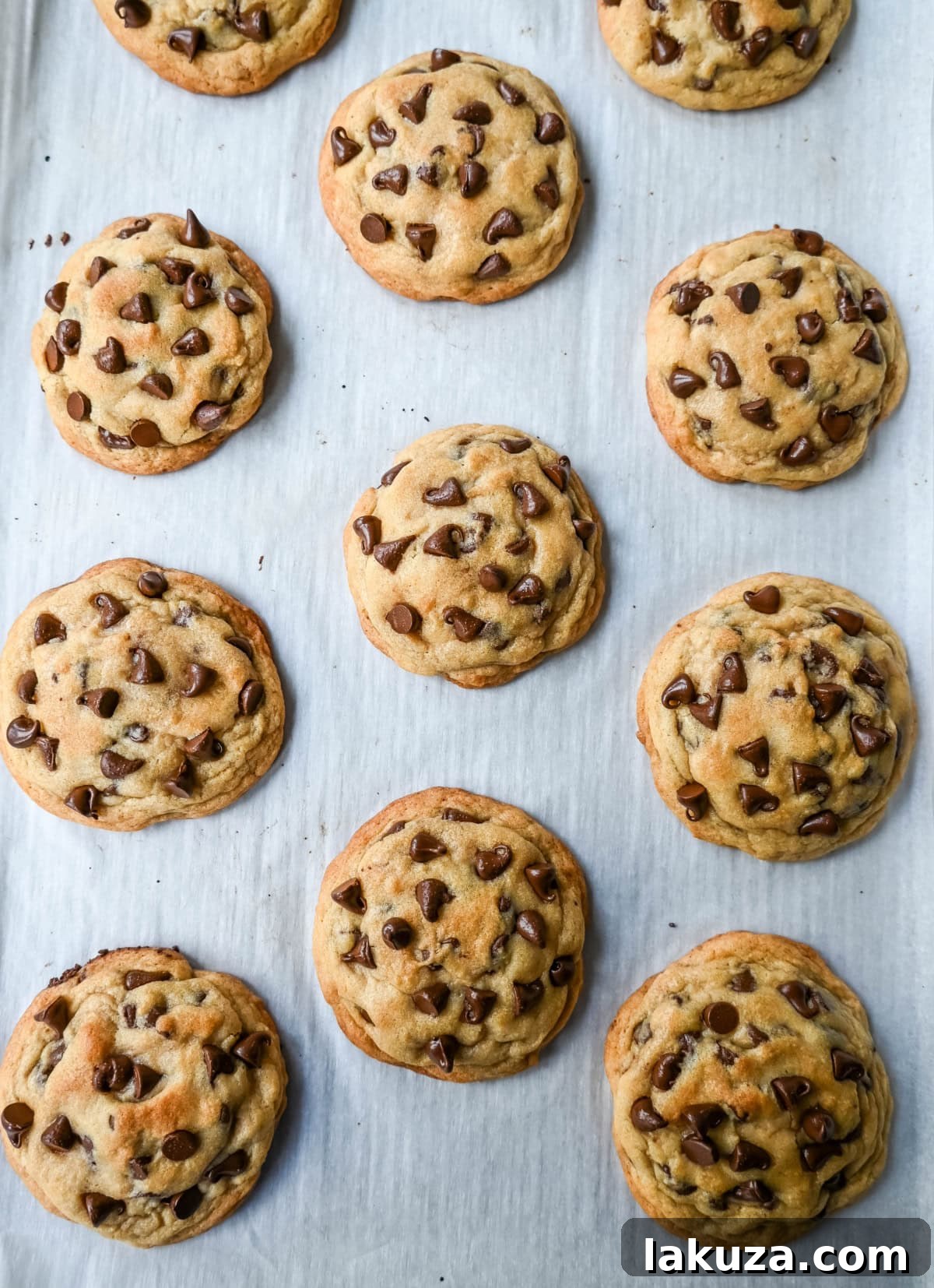 A batch of freshly baked chocolate chip cookies made with generic, inexpensive ingredients, showing their light golden color and texture.