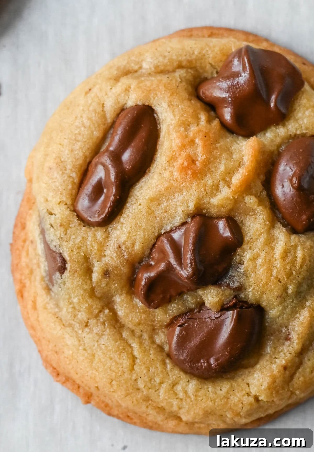 A close-up of a beautifully textured chocolate chip cookie made with premium ingredients, showcasing melted chocolate and a perfect golden-brown finish.