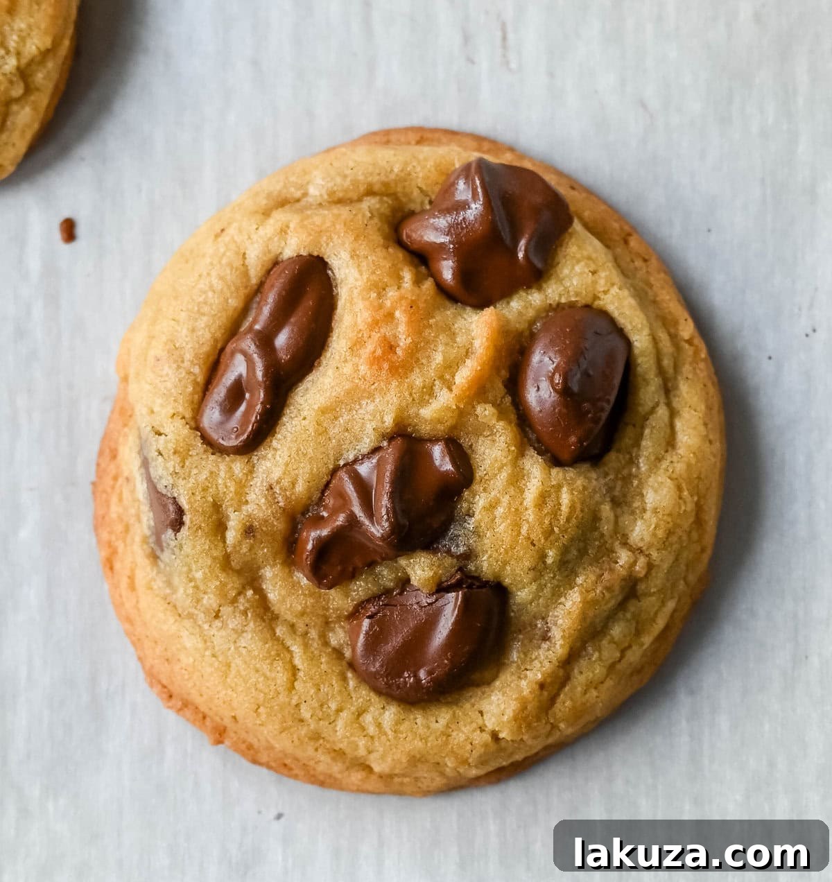 A close-up of a perfectly baked chocolate chip cookie made with premium, expensive ingredients, showing its golden-brown edges and melted chocolate chunks.