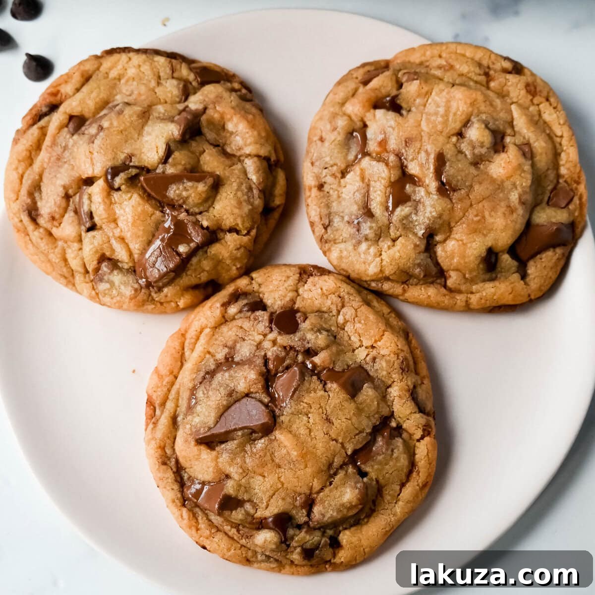 Irresistibly Chewy Condensed Milk Chocolate Chip Cookies 3 Close-up of golden brown, chewy chocolate chip cookies made with sweetened condensed milk, showcasing their rich color and inviting texture.
