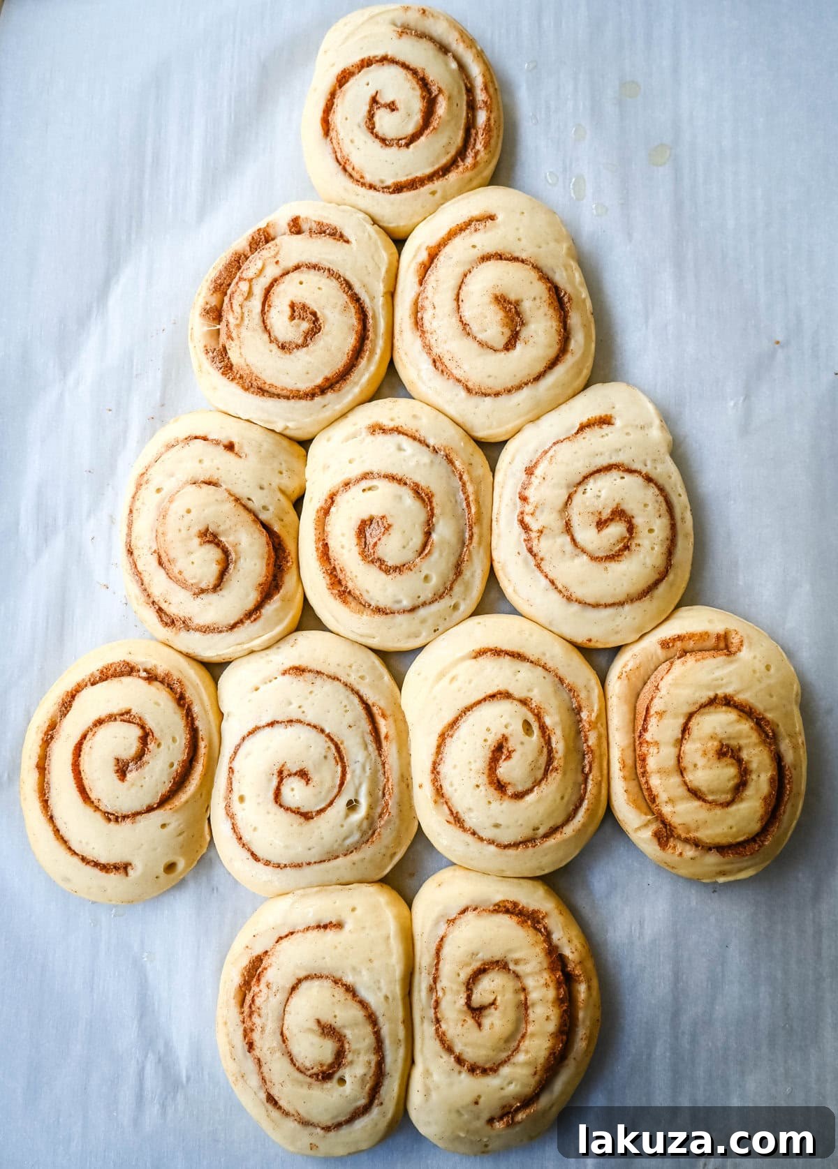 Arranging cinnamon roll dough into a Christmas tree shape to make a Cinnamon Roll Christmas Tree