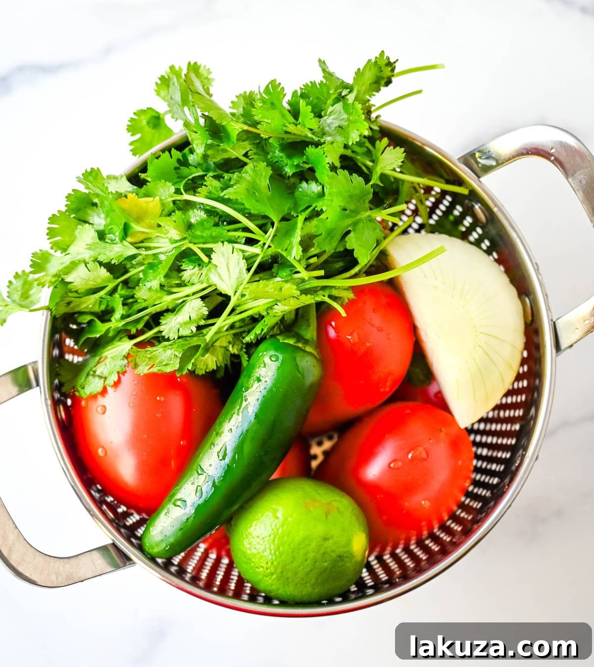 Pico de Gallo 4 Pico de Gallo Ingredients. What do you need to make homemade pico de gallo. This pico de gallo salsa recipe calls for only 6 ingredients.