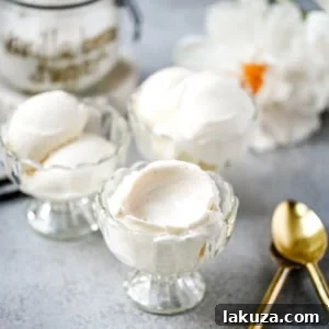A delectable scoop of homemade vanilla bean gelato, rich in texture with visible vanilla specks.