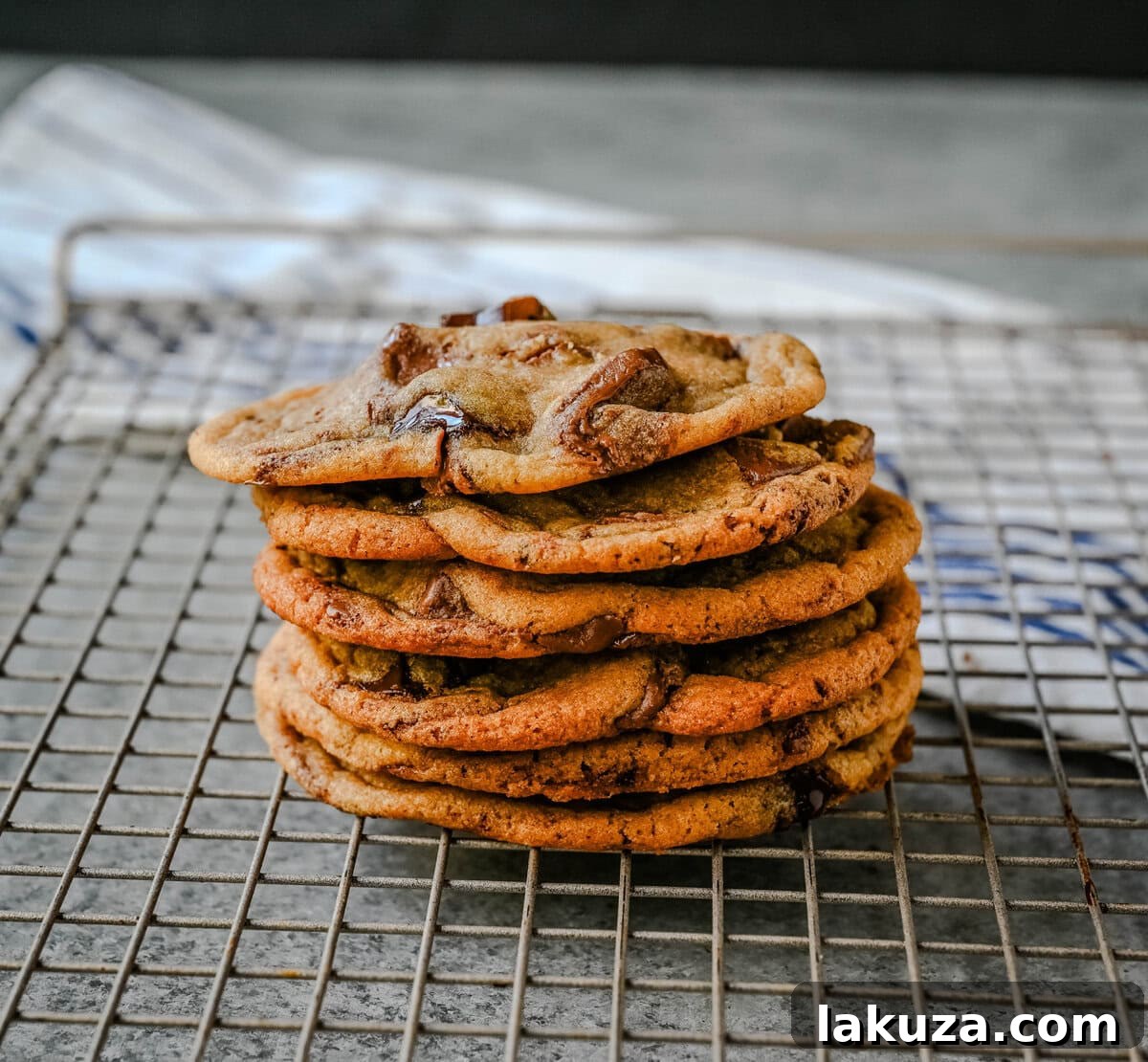 The Ultimate Thin and Chewy Chocolate Chip Cookies 6 A close-up shot of a warm, thin, and chewy chocolate chip cookie cooling on a wire rack, featuring a perfectly crinkled surface and generous pockets of melted chocolate.