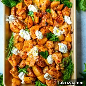 Flavorful Harissa Chicken and Roasted Potatoes, a perfect one-pan meal.