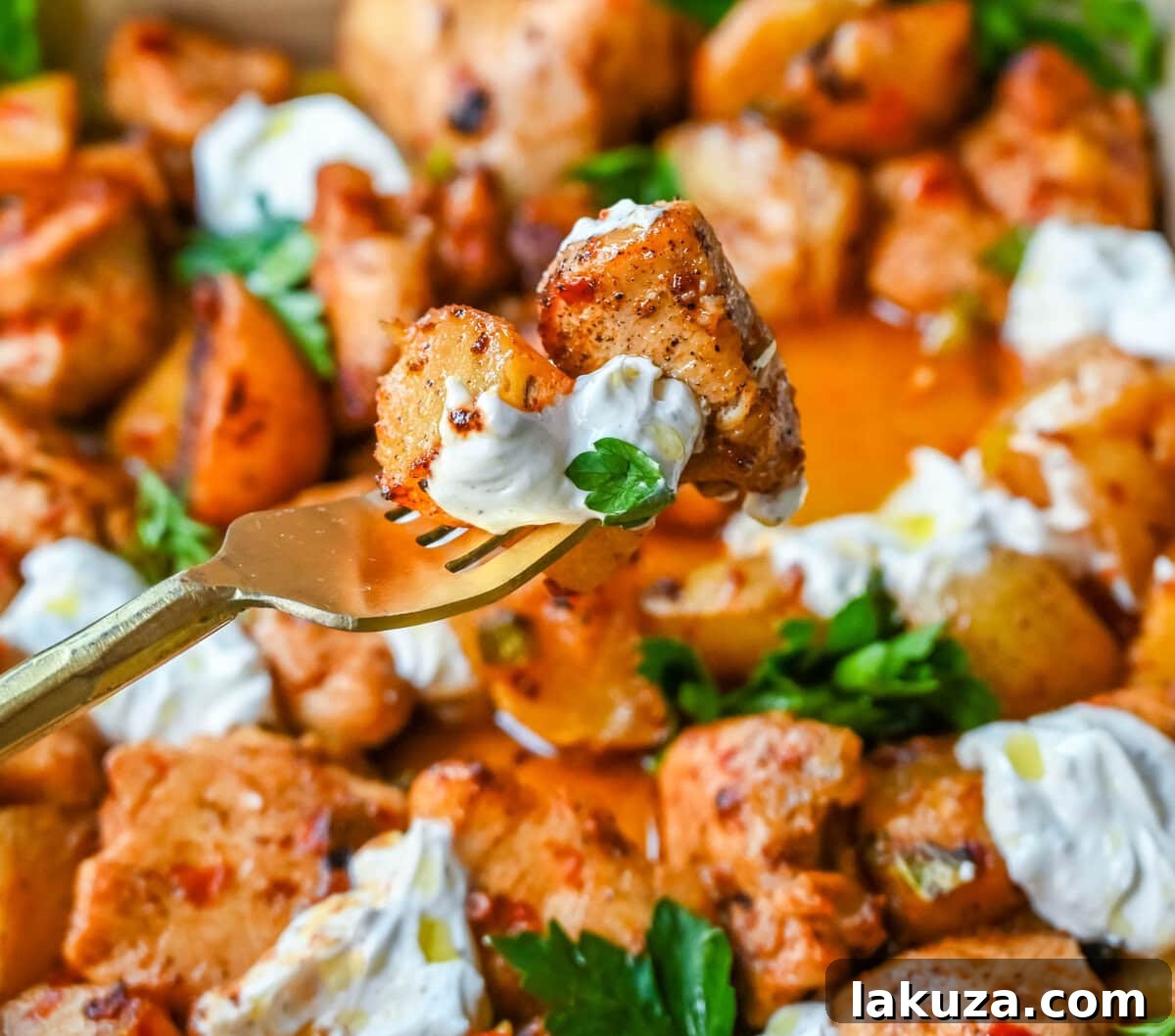 Harissa Chicken and Roasted Potatoes garnished with fresh herbs and a drizzle of yogurt sauce.