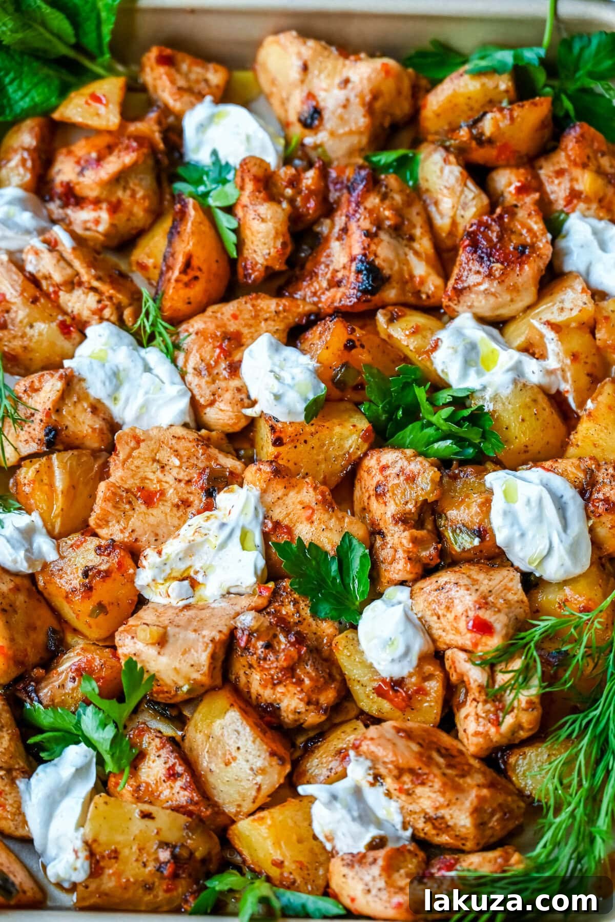 Serving of Harissa Chicken and Roasted Potatoes on a plate with garlic yogurt and fresh herbs.