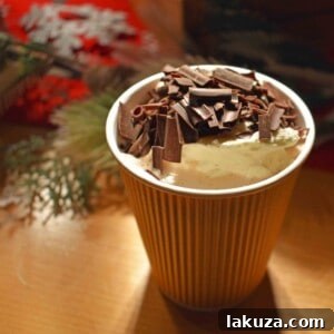 Arizona Four Seasons Christmas Homemade Hot Chocolate Delights 28 Homemade Hot Chocolate Recipe