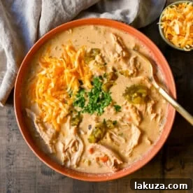 Rich, cheesy chicken queso soup made with three types of cheeses, tender chicken, green chiles, and spices—all the flavors of cheese queso but in a soup! The creamiest, most flavorful Chicken Cheese Soup.