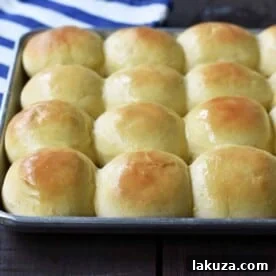 Best Homemade Dinner Rolls made from scratch. Perfect dinner rolls made with simple ingredients. Steps on how to make the best dinner rolls ever. www.modernhoney.com