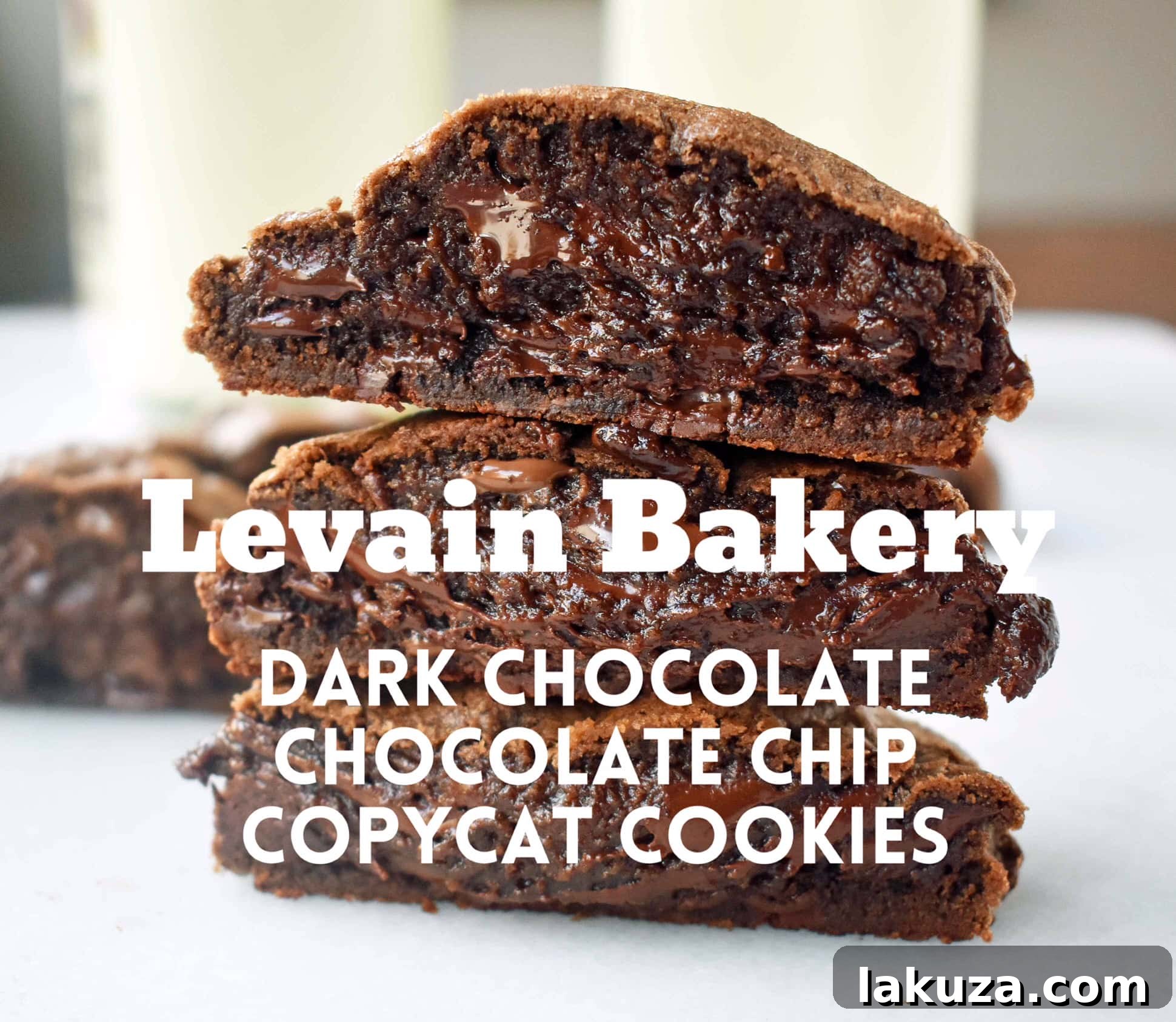 Decadent Levain-Inspired Dark Chocolate Chip Cookies 5 Levain Bakery Dark Chocolate Chocolate Chip Copycat Cookies by Modern Honey. The original copycat Levain Bakery Cookie recipe that has a 5 star rating. The most popular cookie from the famous New York City bakery.