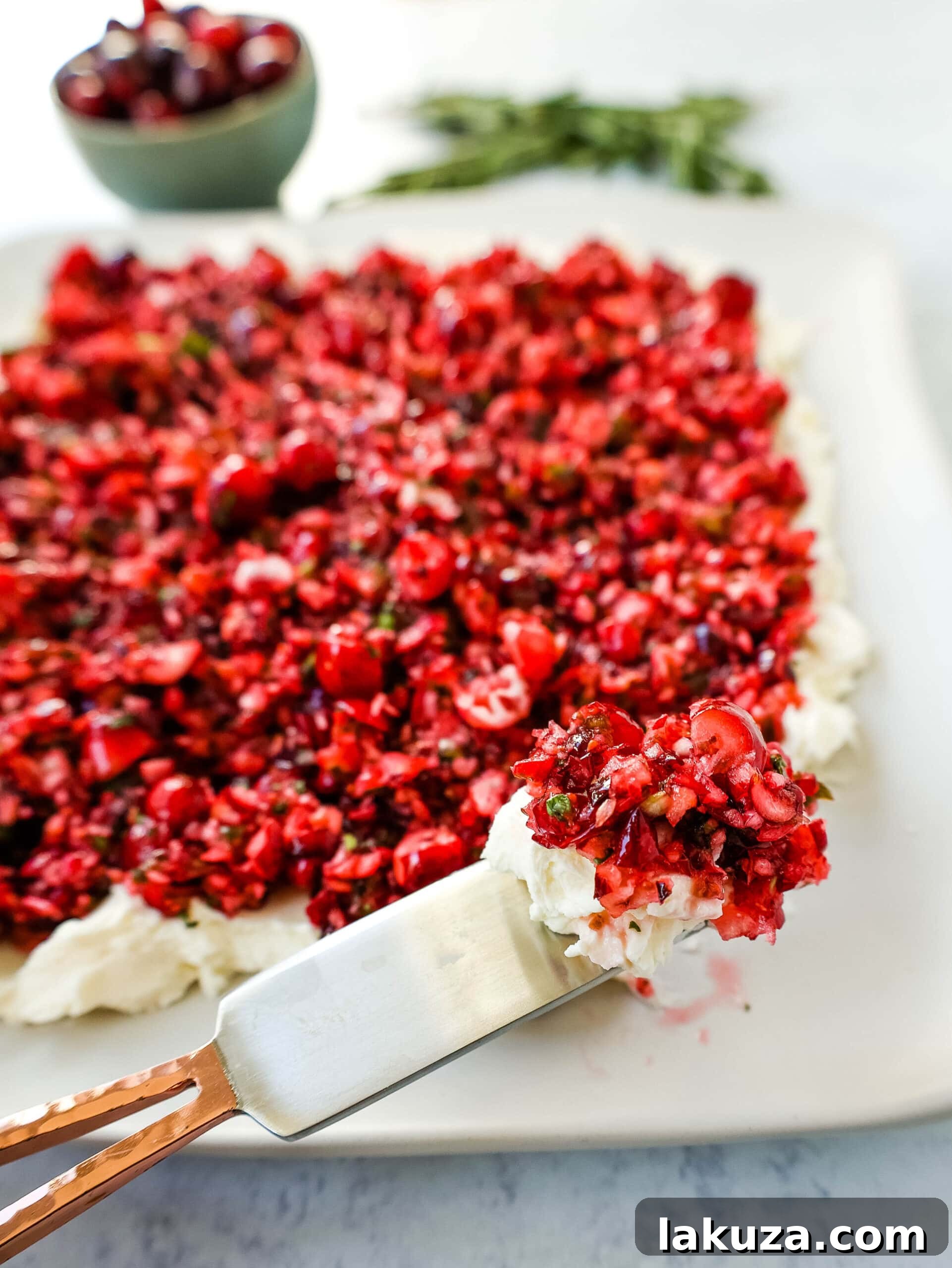 This Cranberry Jalapeno Cream Cheese Dip is a festive appetizer that is creamy, tart, a tad spicy, and sweet. Made with fresh cranberry salsa atop smooth cream cheese, it's the perfect holiday party starter, offering a beautiful balance of flavors and colors that perfectly capture the spirit of Thanksgiving.