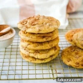 Cinnamon Chip Sugar Cookies are snickerdoodle cookies rolled in cinnamon sugar and studded with cinnamon chips for the perfect cinnamon sugar cookie! The best soft and chewy cinnamon chip cookie recipe.