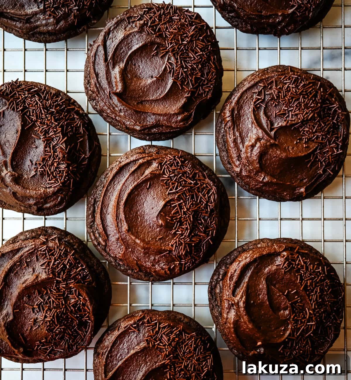 A plate of delightful Chocolate Frosted Cookies, ready to be enjoyed.