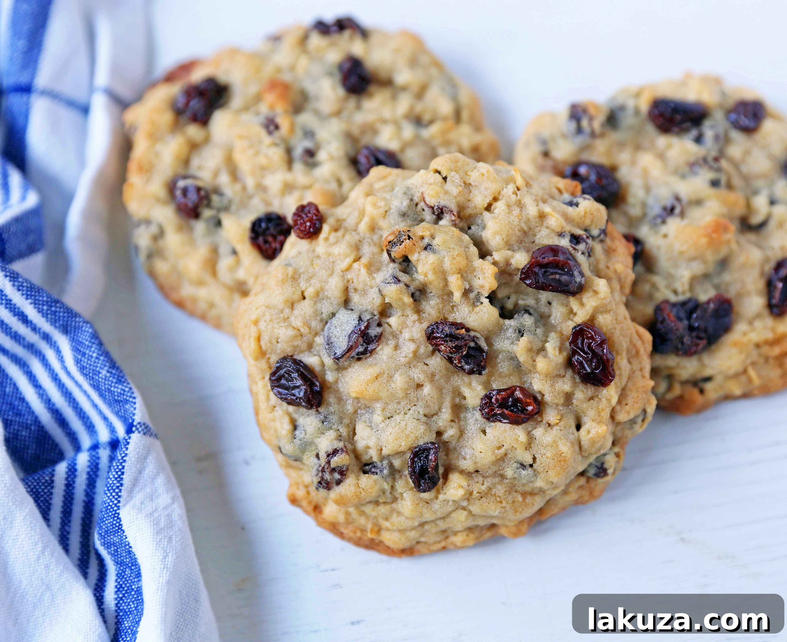 Soft and chewy oatmeal raisin cookies, perfectly golden brown and inviting. A true Levain Bakery copycat.
