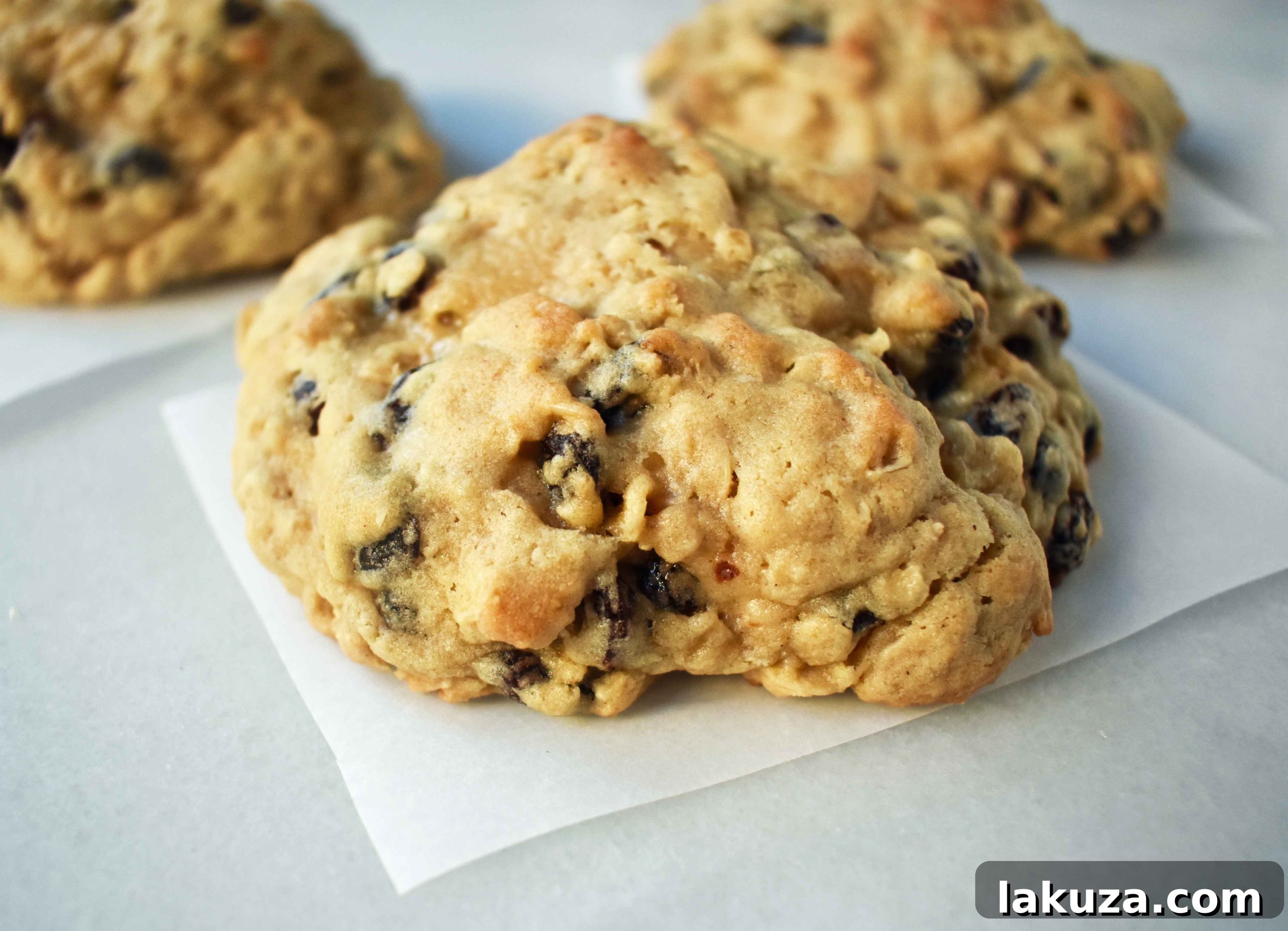 Perfectly baked Levain Bakery style oatmeal raisin cookies cooling on a wire rack, showing their golden crust and generous size.
