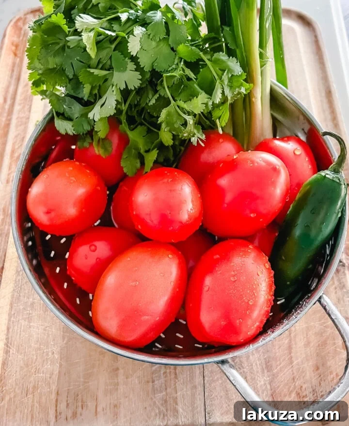Fresh ingredients for the best homemade salsa recipe: ripe roma tomatoes, cilantro, jalapeno, green onions, and garlic salt.