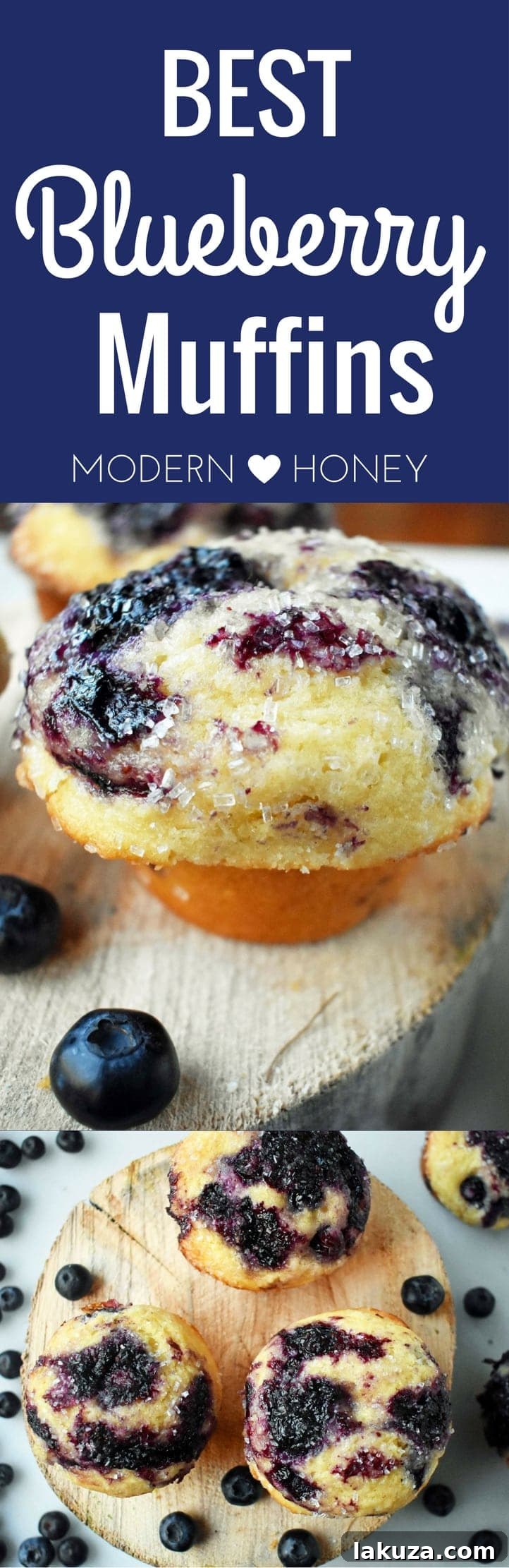The BEST Blueberry Muffins by Modern Honey. Made with fresh blueberries, buttermilk, and a combination of sweet butter and oil. The perfect blueberry muffin recipe!