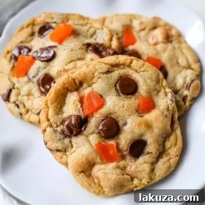 RubySnap Vivianna: Tropical Dark Chocolate Mango Cookies 9 Dark Chocolate Mango Cookies - Chewy citrus cookies with dark chocolate chunks and sweet dried mango. A rich tropical cookie!