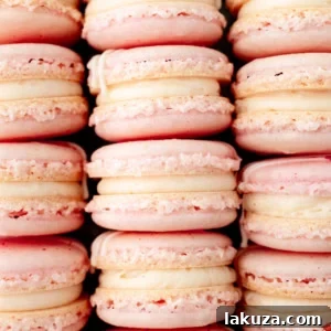 French macarons are delicate sandwich cookies renowned for their crisp shells, airy interiors, and signature “feet” at the base. The best macarons made with whipped egg whites, almond flour, and sugar, they boast a sweet flavor that complements an array of fillings. While they have a reputation for being finicky, mastering these homemade macarons can be done with these tips and tricks.