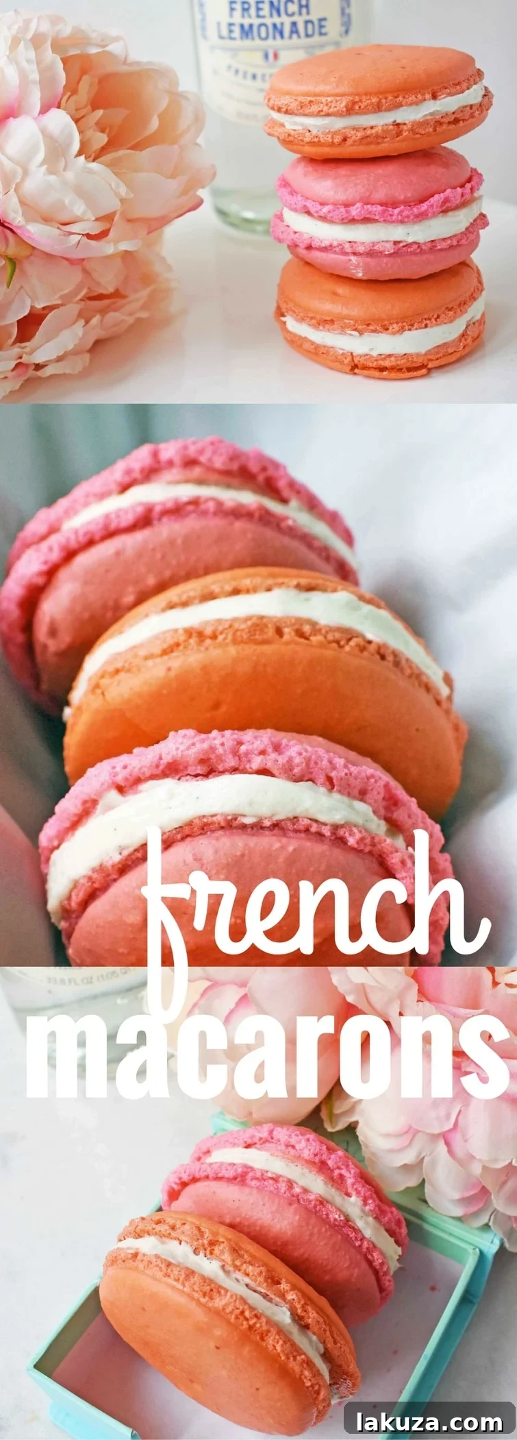 Elegant Macaron Delights 19 How to make homemade French Macarons with step-by-step instructions and essential tips and tricks for success.