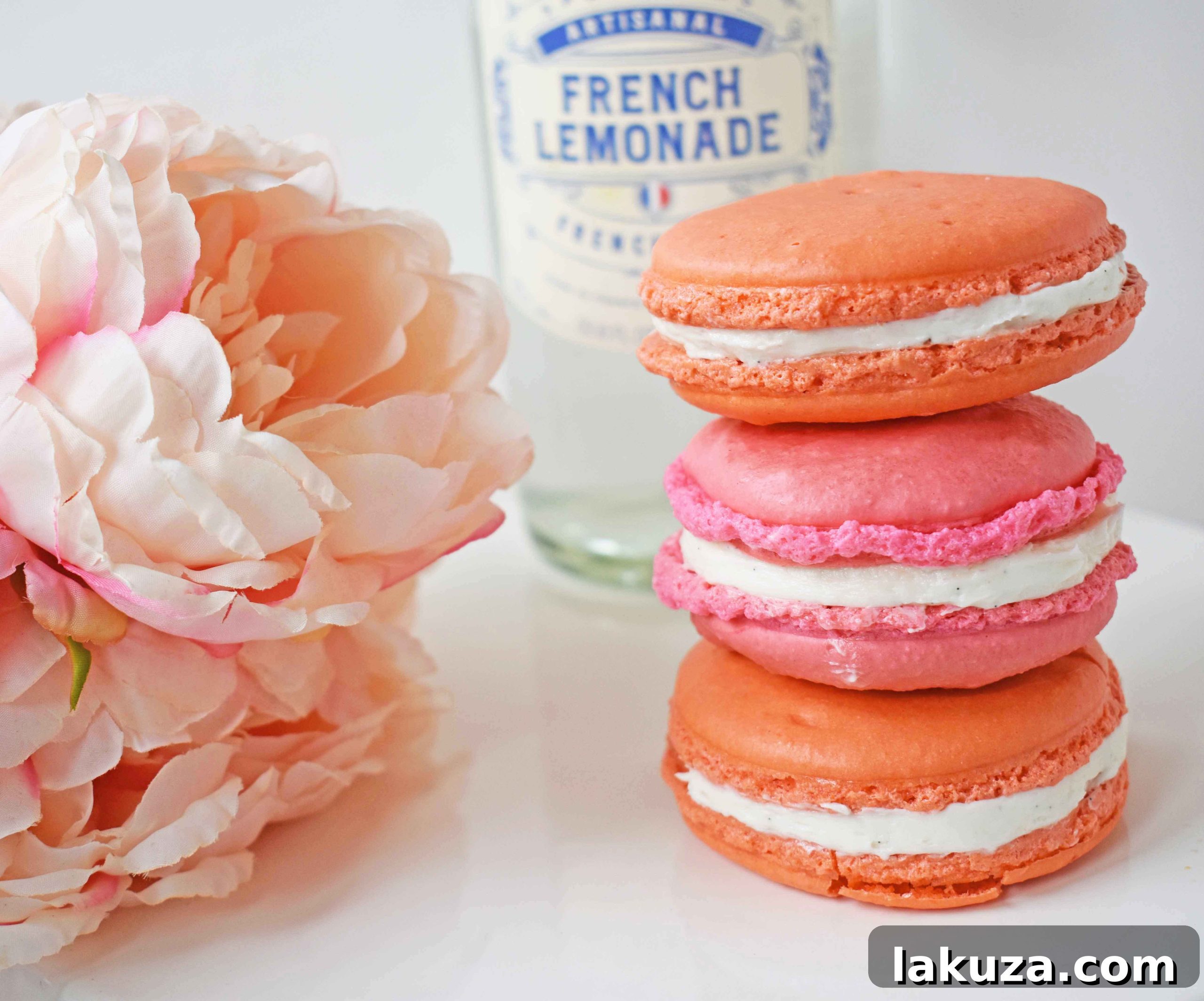Elegant Macaron Delights 21 A charming display of homemade French Macarons, emphasizing their delicate nature and delicious appeal.