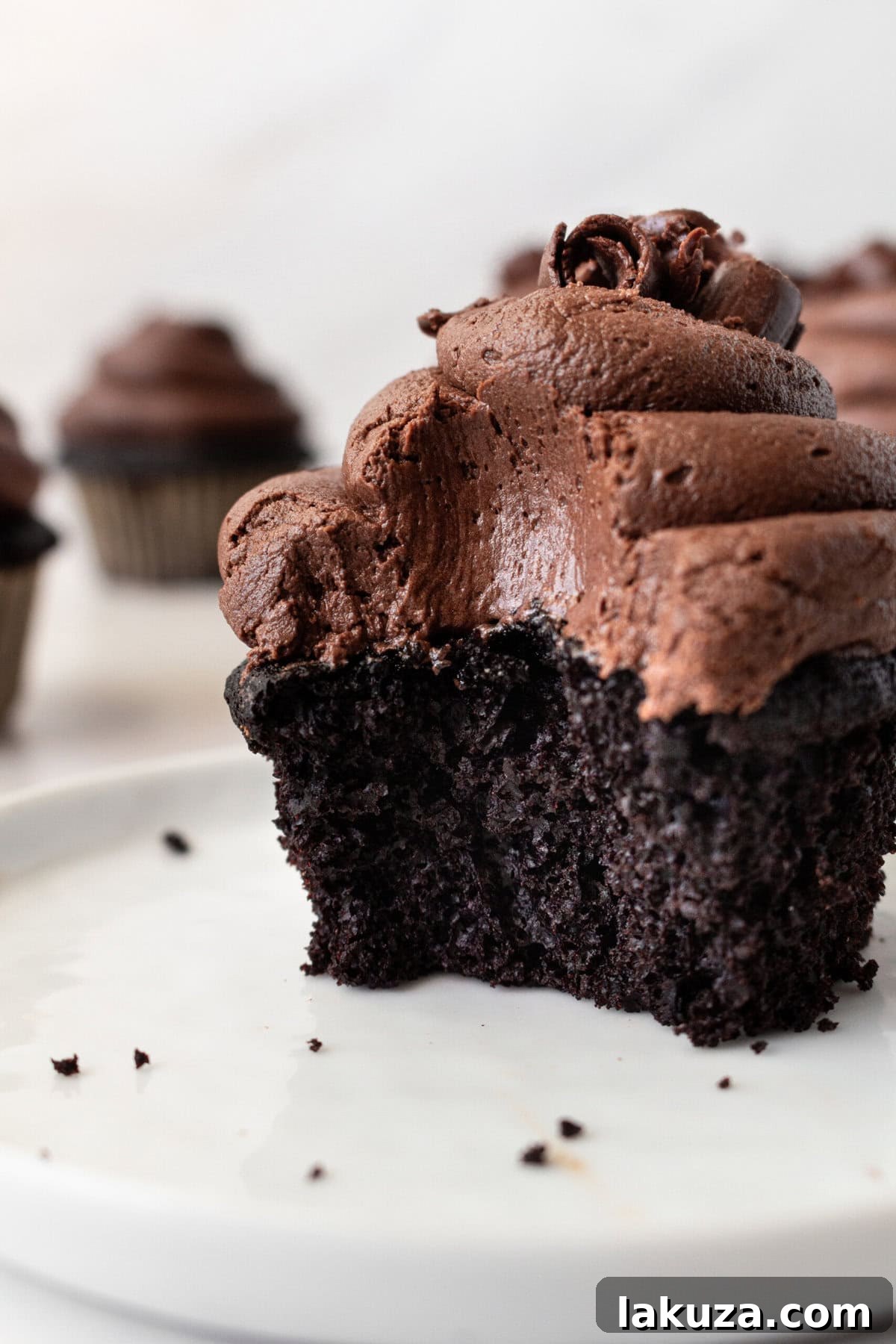 Decadent Chocolate Cupcakes 3 A beautifully arranged selection of homemade chocolate cupcakes, highlighting their tender texture and rich appearance.