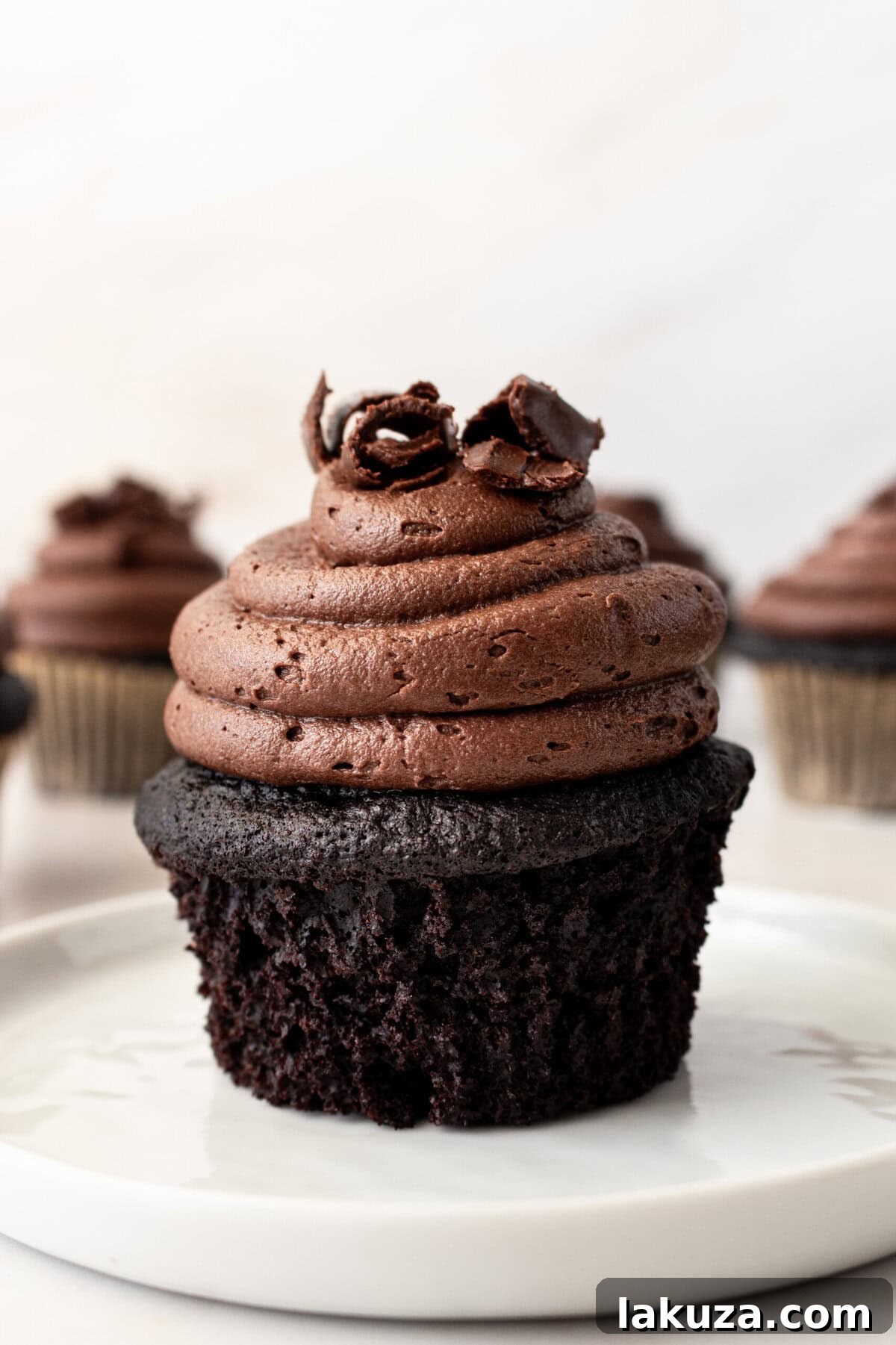Decadent Chocolate Cupcakes 8 A pair of beautifully baked chocolate cupcakes, frosted with swirls of chocolate buttercream and topped with sprinkles, sitting on a white plate.