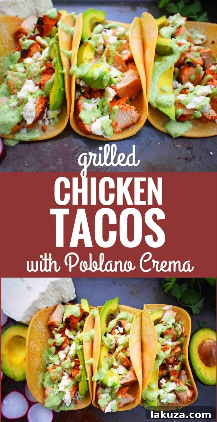 Grilled Chicken Tacos with Roasted Poblano Lime Crema 8 A perfectly arranged plate of Grilled Chicken Tacos with a side of fresh cilantro and lime wedges.