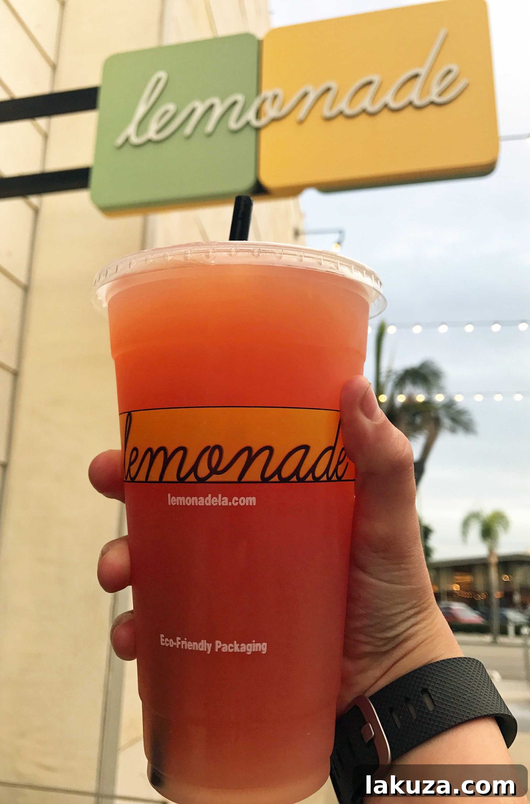 Orange County's Culinary Treasures 5 Lemonade restaurant in California, known for its fresh, vibrant cafeteria-style dining and, of course, delicious lemonades. A favorite spot for healthy and flavorful meals in Orange County.