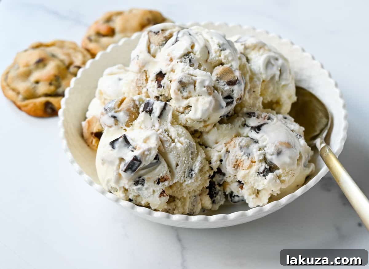 Overhead view of a bowl of homemade chocolate chip cookie dough ice cream ready to be enjoyed.
