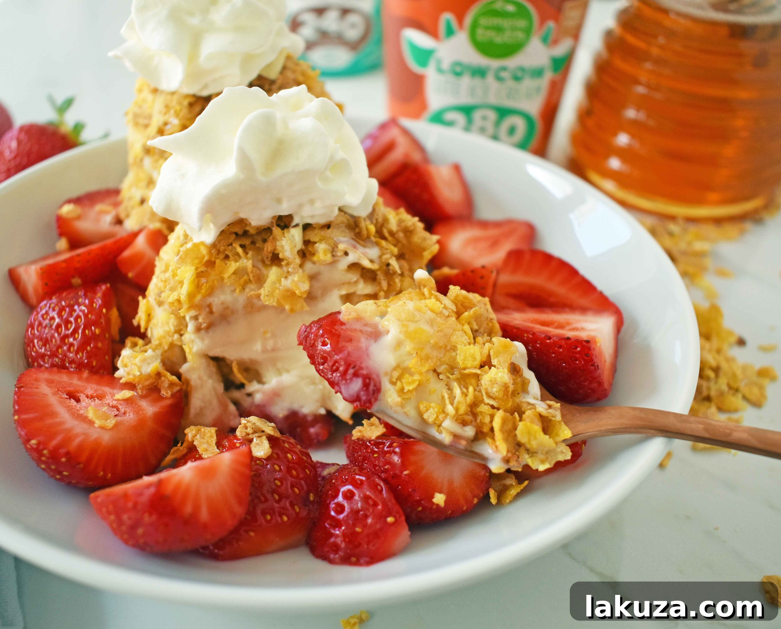 Lean Protein Freeze 5 Low-Fat Protein No-Fry Ice Cream. A healthy, low-calorie, unfried Mexican fried ice cream dessert recipe. Perfect for a guilt-free treat. Modern Honey.