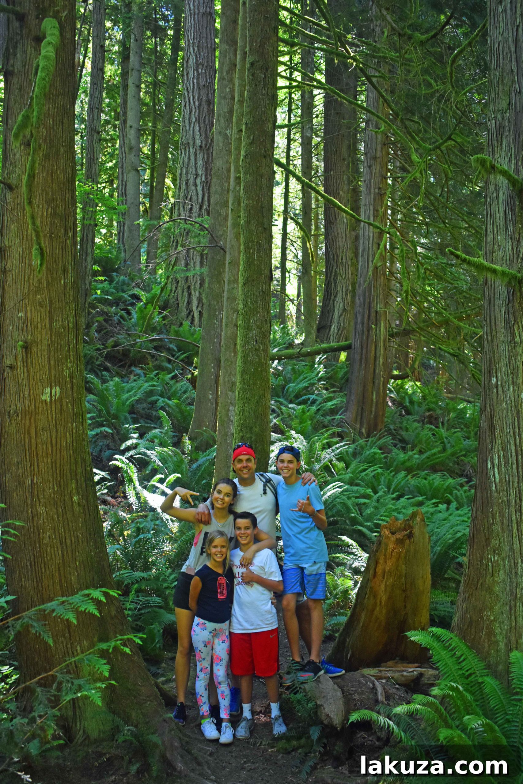 Hiking trail leading to Snoqualmie Falls, offering beautiful wilderness views. A key highlight for Seattle visitors.