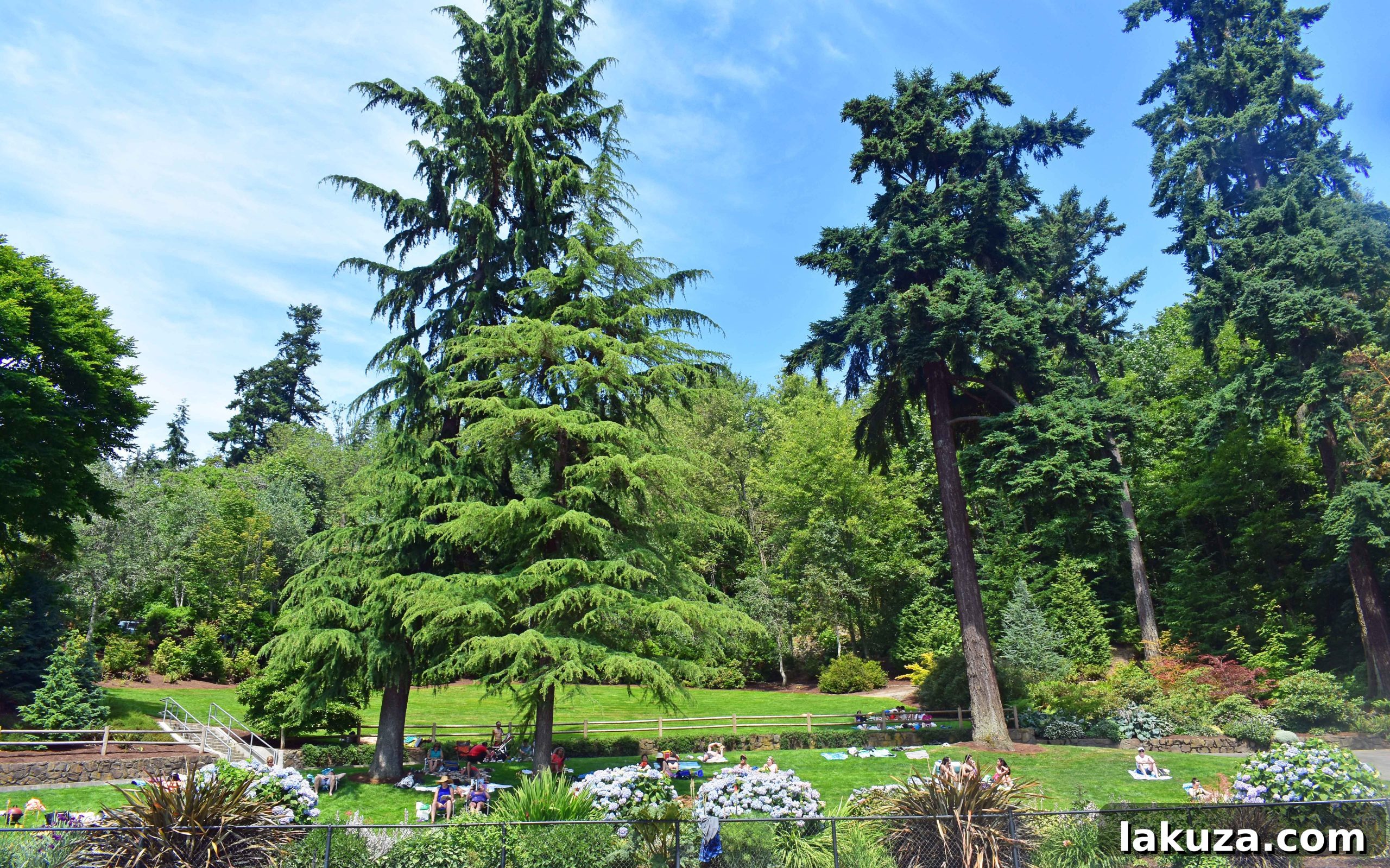 Relaxing at Chism Beach Park, perfect for a picnic with beautiful views. A peaceful escape in Seattle.