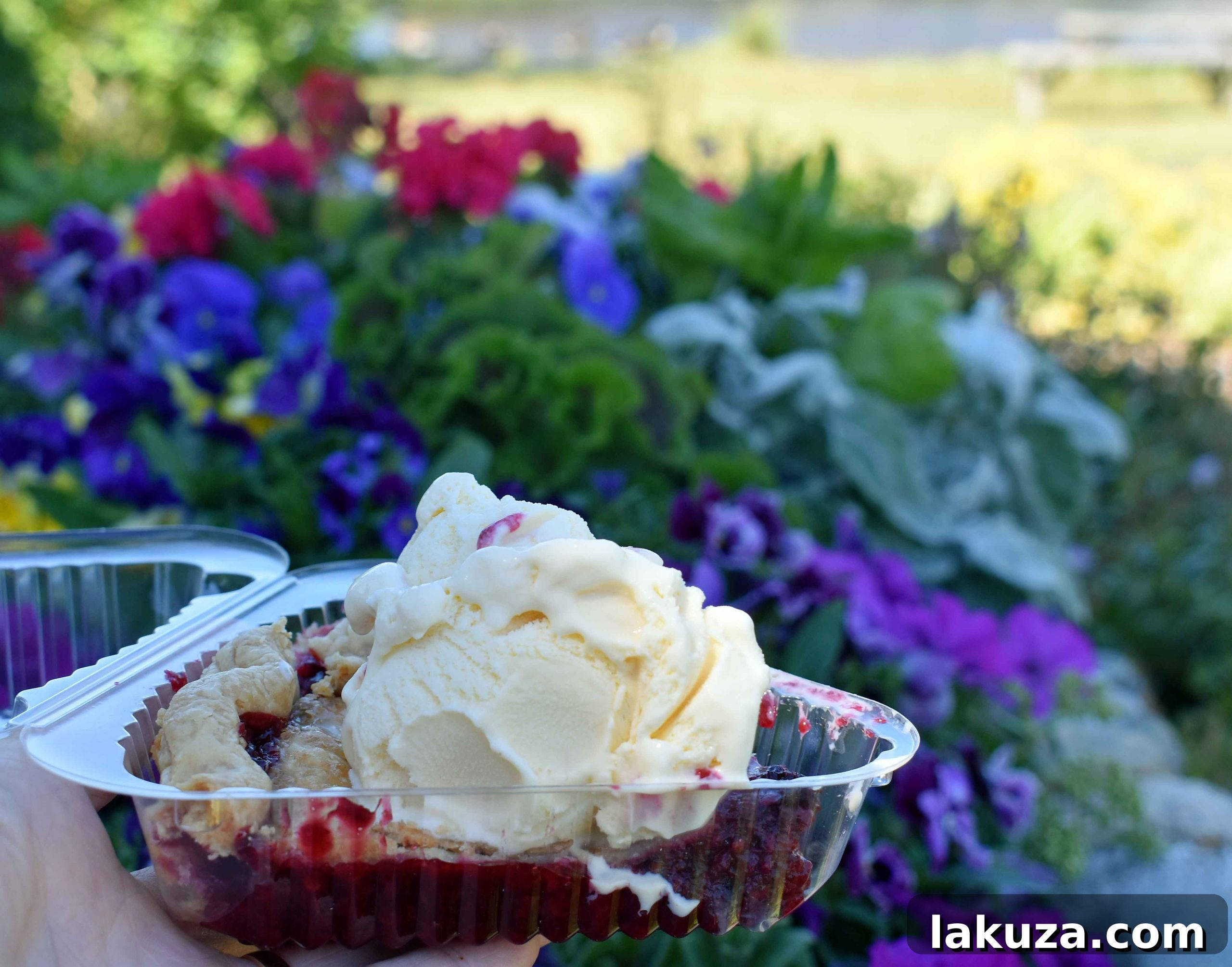Delicious Loganberry Pie from Whidbey Pie Cafe. A sweet highlight on Whidbey Island and part of Seattle's top food recommendations.