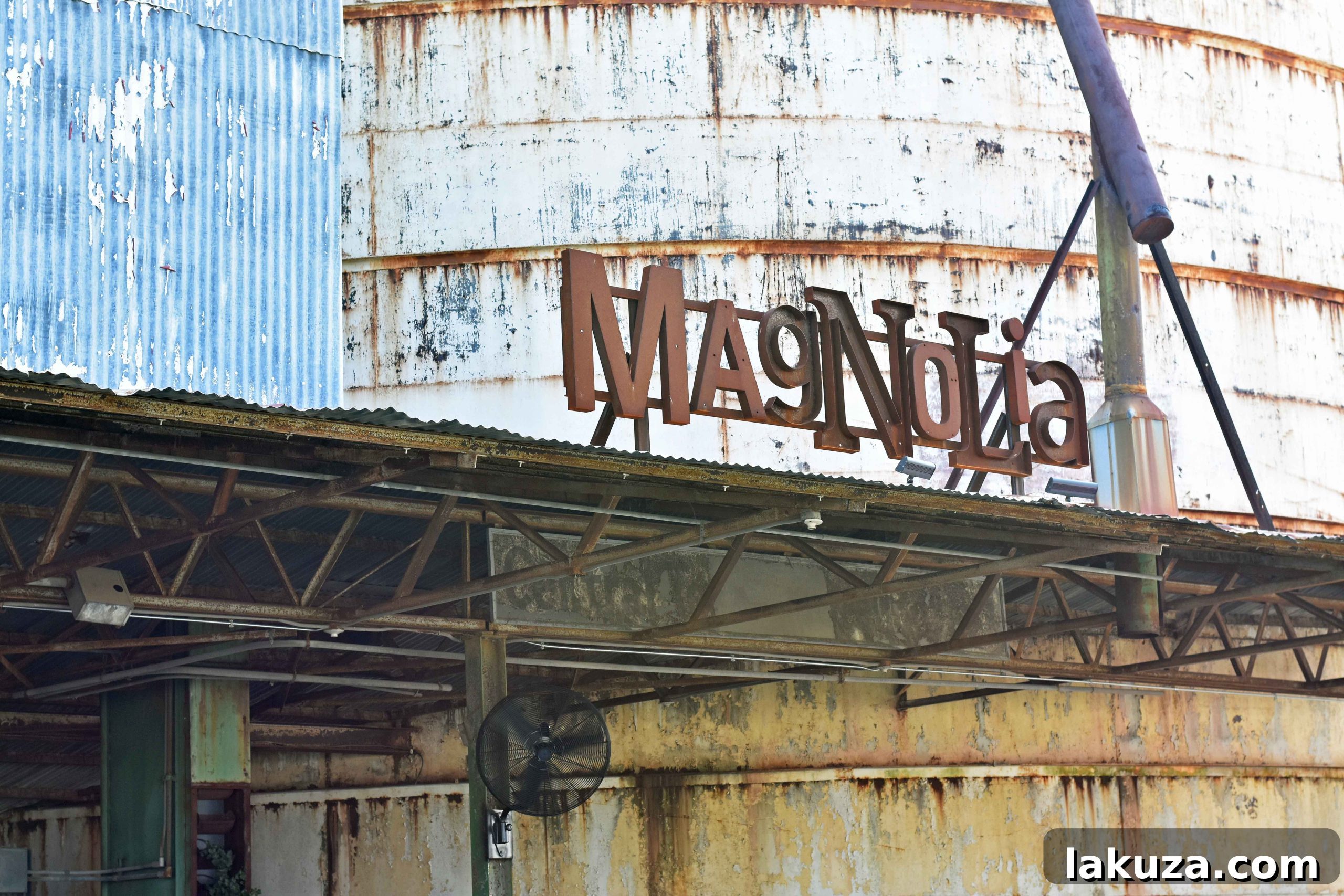 Overview of the vibrant food truck park and recreational lawn at Magnolia Market