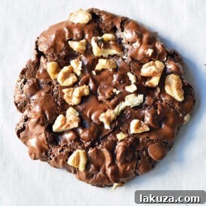 Fudgy Chocolate Delights 7 Flourless Chocolate Brownie Gluten Free Cookies are sweet, chewy, crispy, and full of chocolate. If a brownie and a cookie had a baby this would be the result. A fabulous brownie cookie in one!