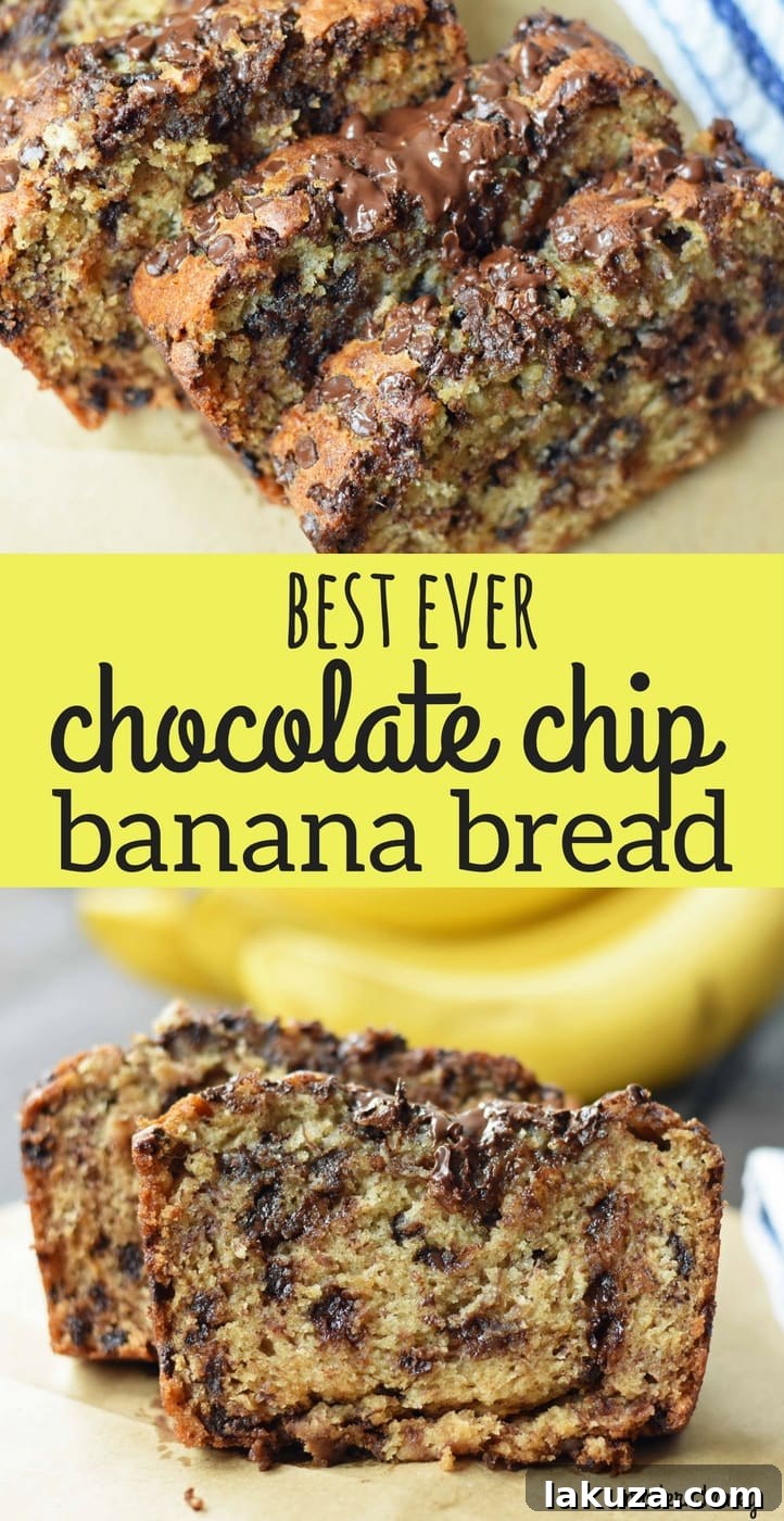 The best ever chocolate chip banana bread. Moist and delicious banana bread with chocolate chips. Banana bread made with butter, oil, and sour cream to create a perfect banana bread. www.modernhoney.com