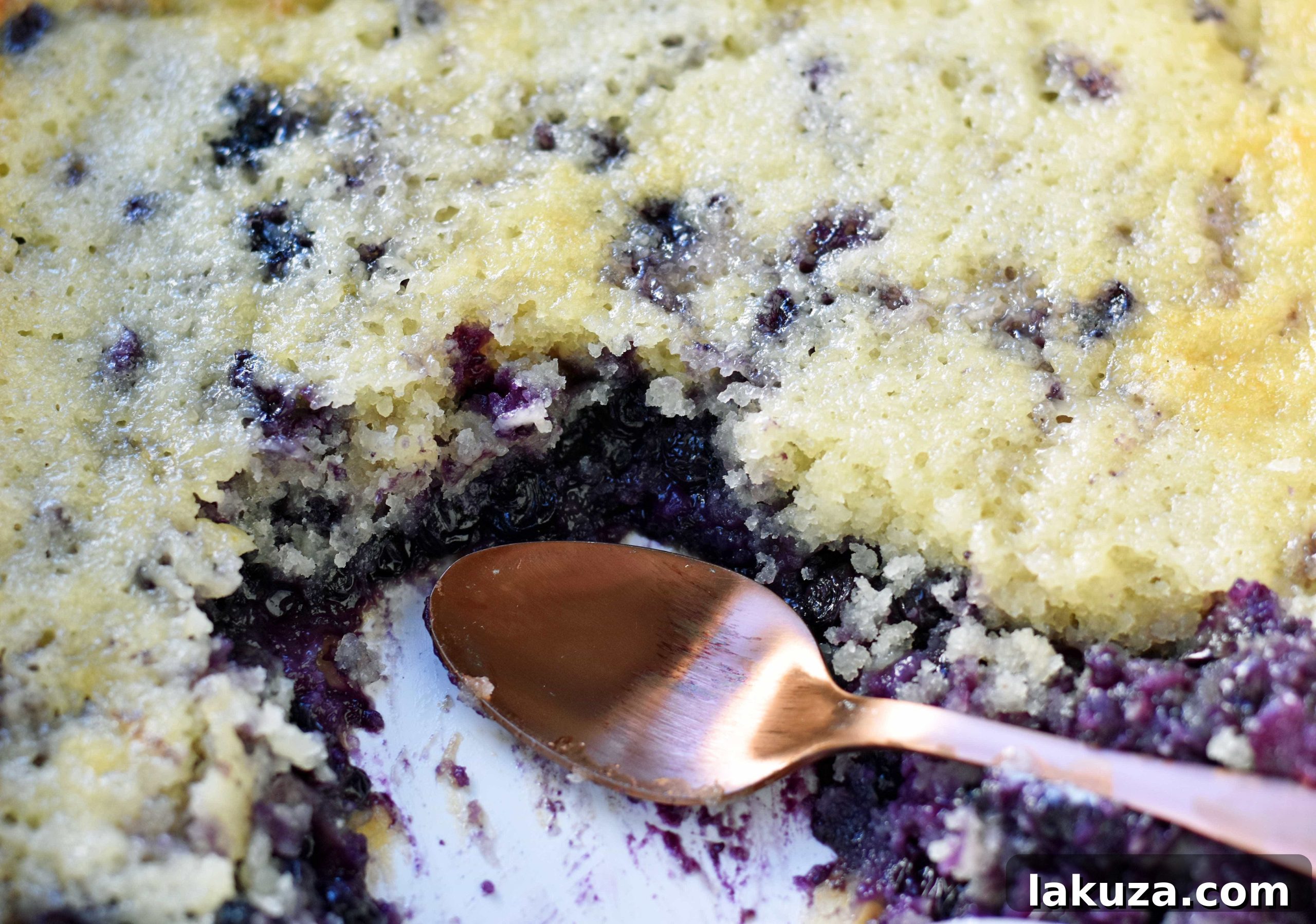Serving of Texas-Style Blueberry Cobbler with melting vanilla ice cream in a bowl.
