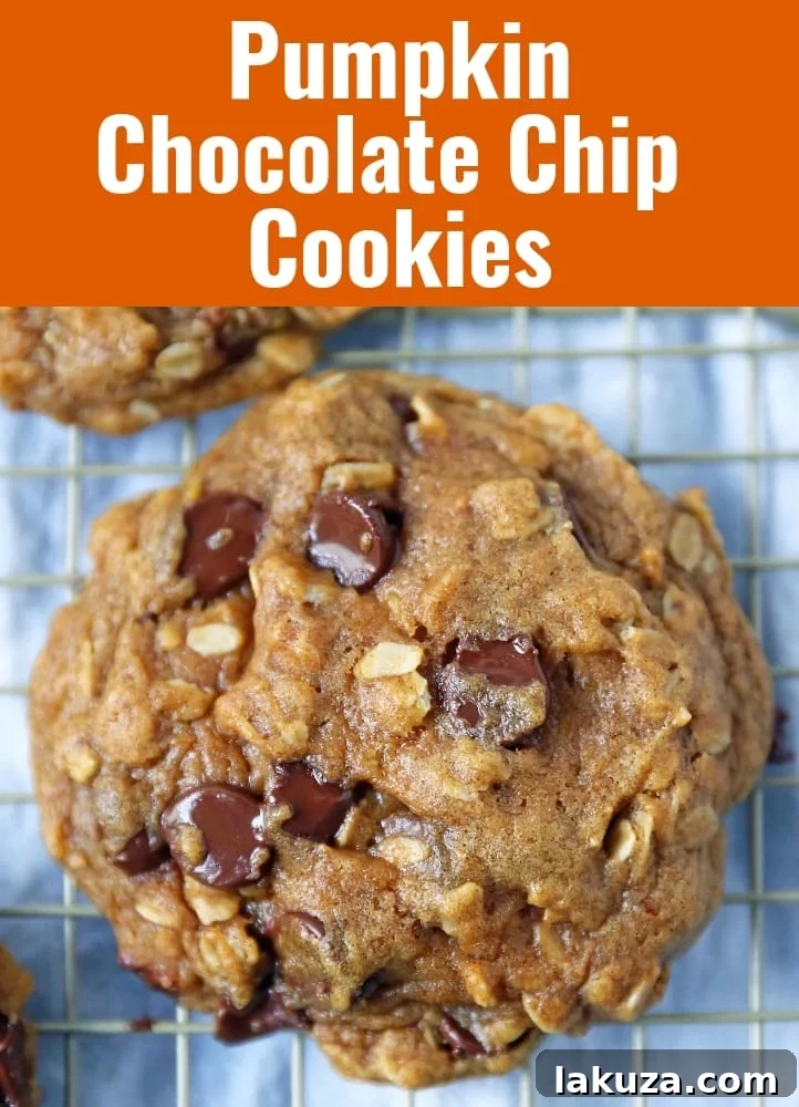 Plate of perfectly baked Pumpkin Chocolate Chip Cookies, featuring a blend of warm spices and melted chocolate.