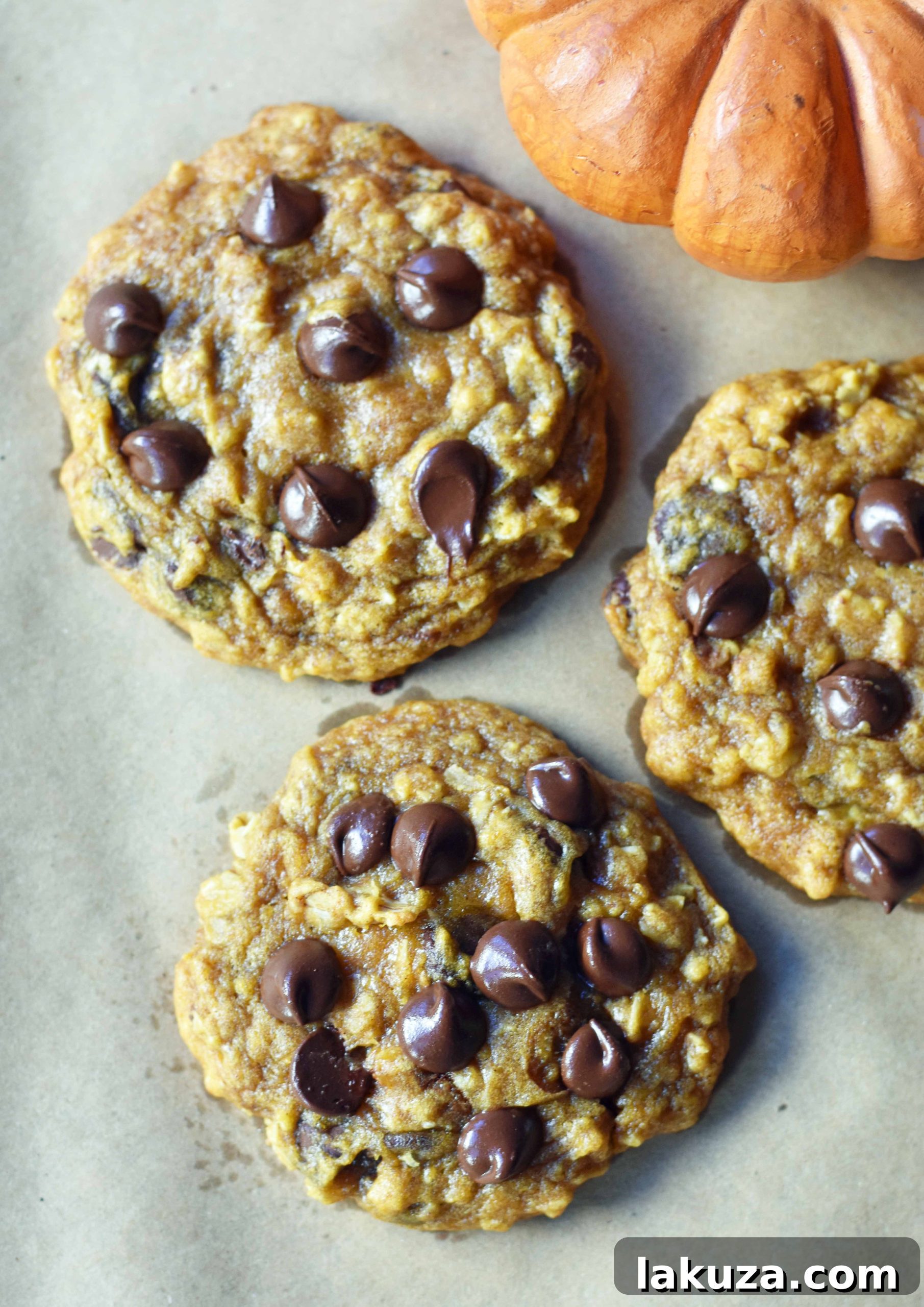 Artfully arranged Pumpkin Chocolate Chip Cookies, highlighting their rich color and texture, on a rustic background.