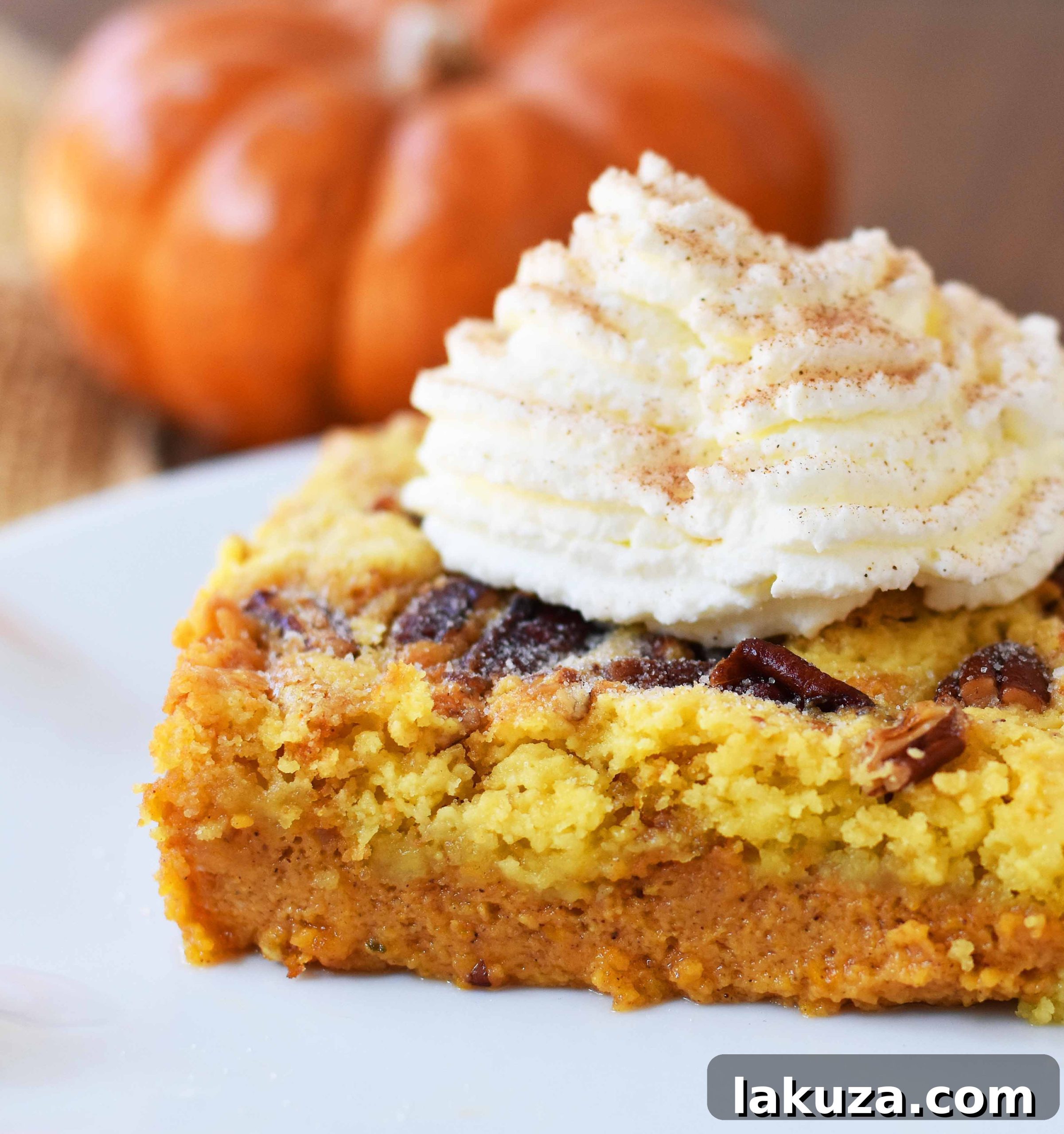 Serving of warm Pumpkin Praline Butter Dump Cake with a scoop of melting vanilla ice cream and a sprinkle of cinnamon, ready to be enjoyed. Modernhoney.com
