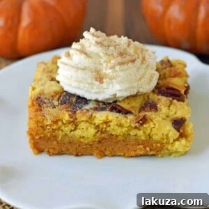 Pumpkin Praline Butter Dump Cake: A creamy pumpkin custard base topped with a buttery, crunchy cake and pecan praline streusel, perfect for any Fall gathering. Modernhoney.com