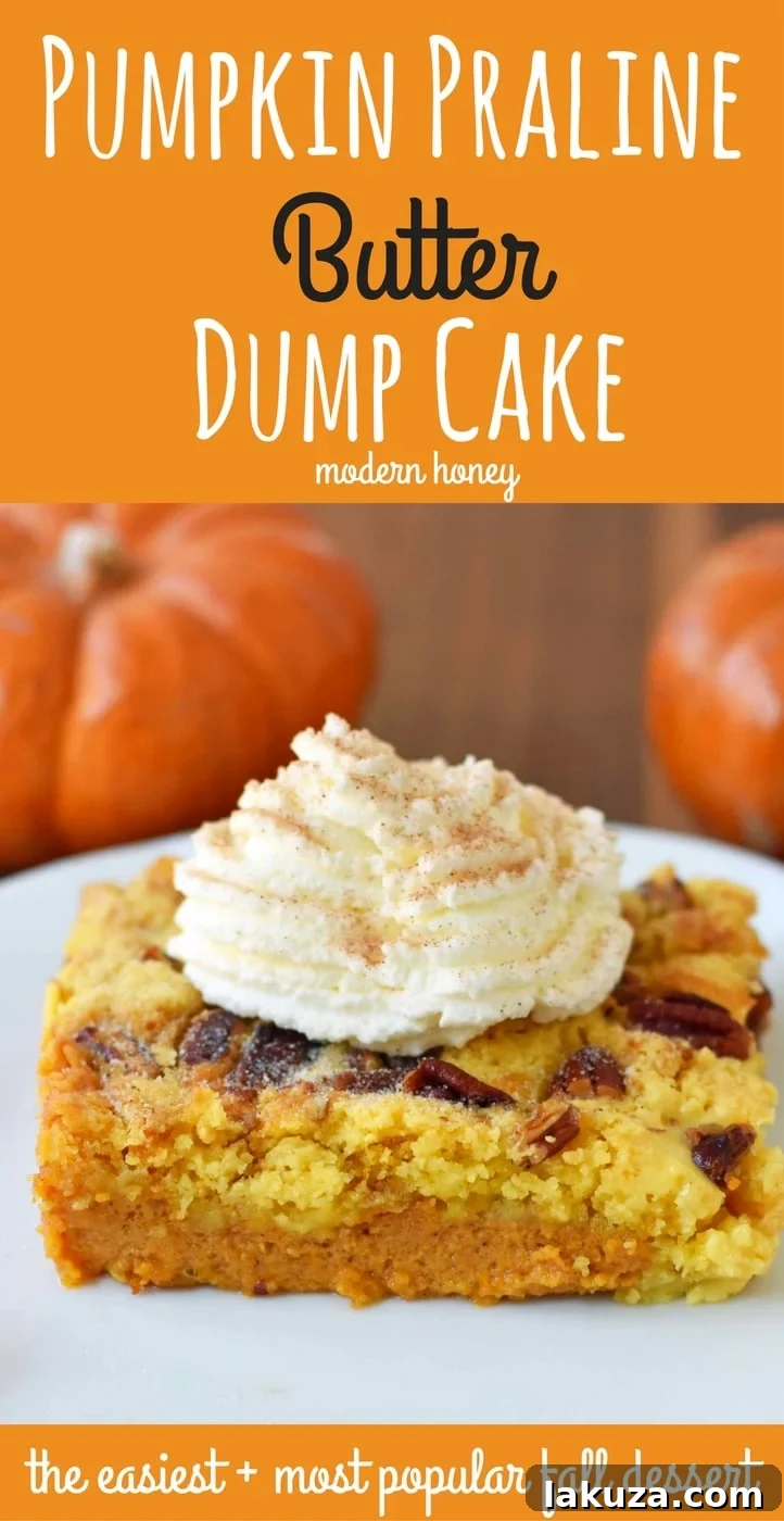 Beautifully baked Pumpkin Praline Butter Dump Cake, showcasing the golden-brown crust and ready to be served. Modernhoney.com