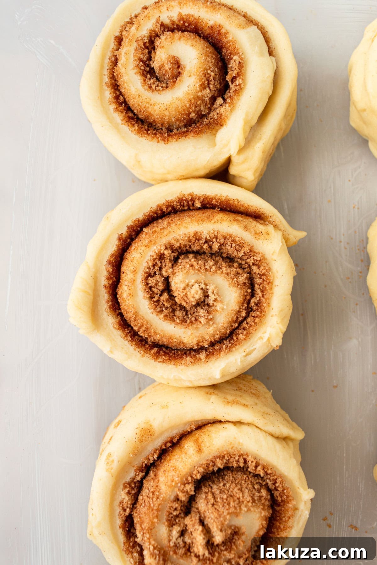 Heavenly Homemade Cinnamon Buns 11 Freshly cut cinnamon roll dough arranged on a baking sheet, showcasing the beautiful spirals of the filling, ready for the second rise before baking.