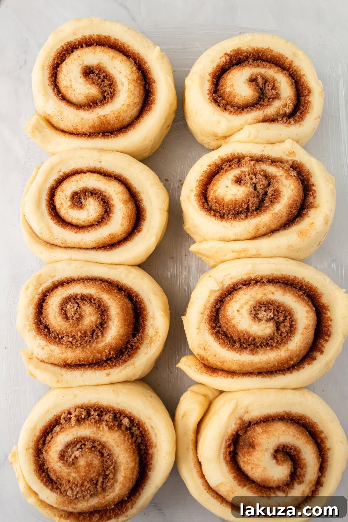 Heavenly Homemade Cinnamon Buns 15 Individual cinnamon rolls, after being cut, arranged on a baking sheet for their crucial second rise, demonstrating proper spacing before they expand.